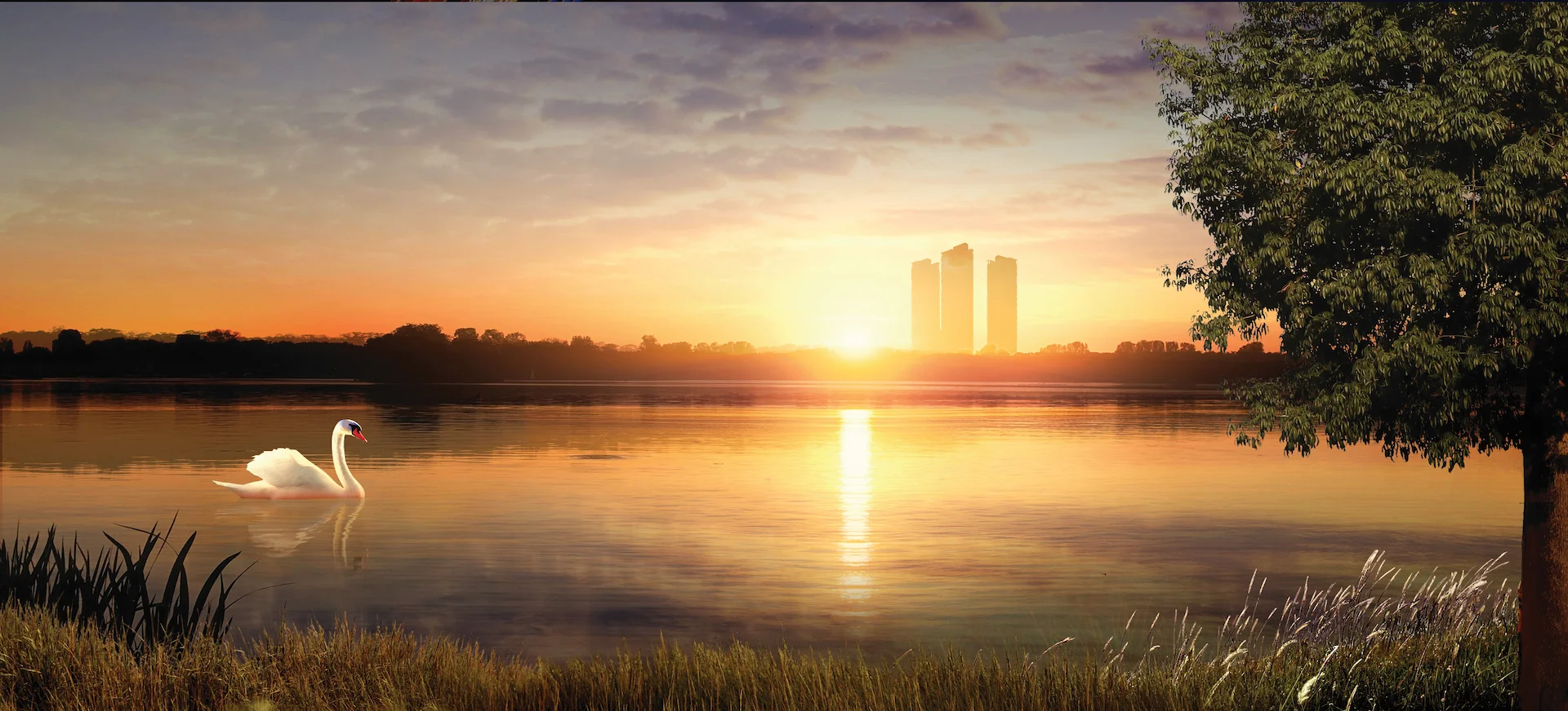 background-image